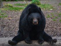 Wrocław. ZOO (fot. Piotr Wojtaszek)