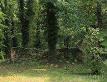 Kaźmierz&oacute;w. ruiny kościoła (fot. Łukasz Konieczny)