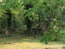 Kaźmierz&oacute;w. ruiny kościoła (fot. Łukasz Konieczny)