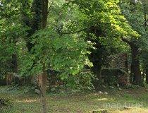 Kaźmierz&oacute;w. ruiny kościoła (fot. Łukasz Konieczny)