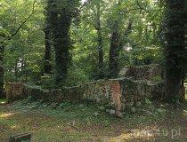 Kaźmierz&oacute;w. ruiny kościoła (fot. Łukasz Konieczny)