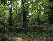 Kaźmierz&oacute;w. ruiny kościoła (fot. Łukasz Konieczny)