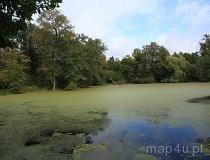 Głębowice. Ruiny pałacu (fot. Piotr Wojtaszek)