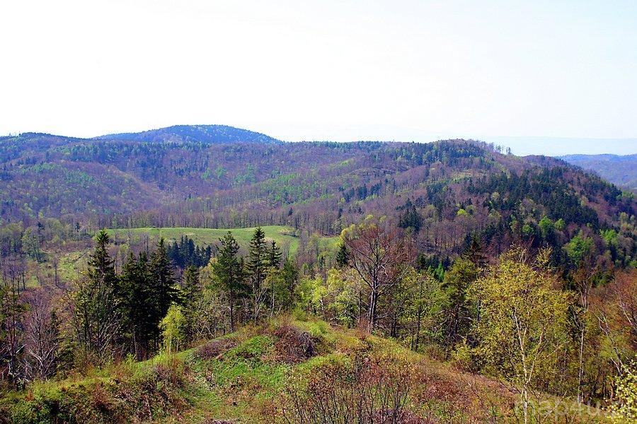 Park Krajobrazowy Gór Sowich (fot. Marek i Ewa Wojciechowscy)