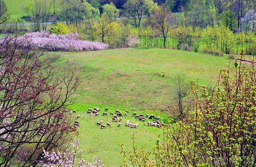 Park Krajobrazowy Gór Sowich (fot. Marek i Ewa Wojciechowscy)