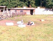 Świerklaniec. Mini Zoo (fot. Paweł Jersz)