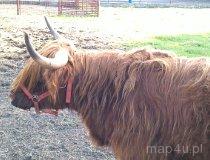 Świerklaniec. Mini Zoo (fot. Paweł Jersz)