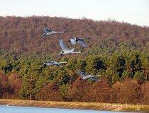 Małogoszcz. Zalew Zakrucze (fot. Dominika Gałęziowska)