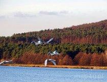 Małogoszcz. Zalew Zakrucze (fot. Dominika Gałęziowska)
