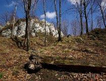 Smoleń. Góra Grodzisko Pańskie (fot. Lidia Kamińska-Koj)