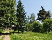 Wielka Wola. Park dworski (fot. Tomasz Mazurek)