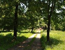 Wielka Wola. Park dworski (fot. Tomasz Mazurek)