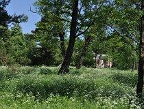 Wielka Wola. Park dworski (fot. Tomasz Mazurek)