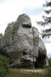 Podzamcze. Obite drogi wspinaczkowe (fot. Magdalena Suchan)