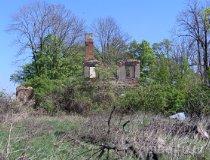 Sędzice. Pozostałości zespołu dworsko-parkowego (fot. Tomasz Szwagrzak)