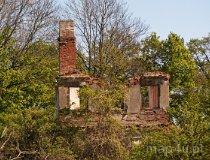 Sędzice. Zesp&oacute;ł dworsko-parkowy. Pozostałości parku (fot. Piotr Solle)