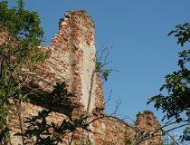 Sędzice. Zesp&oacute;ł dworsko-parkowy. Pozostałości parku (fot. Piotr Solle)