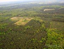 Rezerwat Rajchrowa Góra (fot. Kacper Dondziak)