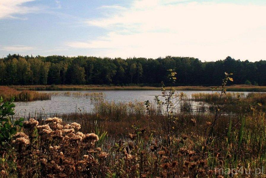 Przyrów. Park Krajobrazowy Stawki (fot. Lidia Kamińska-Koj)