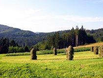 Wisła. Beskid Śląski (fot. Marek i Ewa Wojciechowscy)