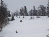 Park Krajobrazowy Beskidu Śląskiego (fot. Piotr Wojtaszek)