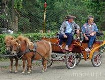 Koszęcin. Piknik Country w Leśnej Dolinie (fot. Adrian Mucha)